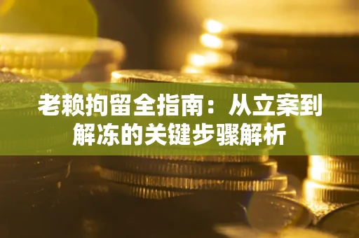 北京老赖拘留全指南：从立案到解冻的关键步骤解析