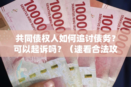 北京共同债权人如何追讨债务？可以起诉吗？（速看合法攻略）