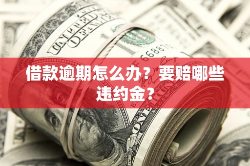 北京借款逾期怎么办？要赔哪些违约金？
